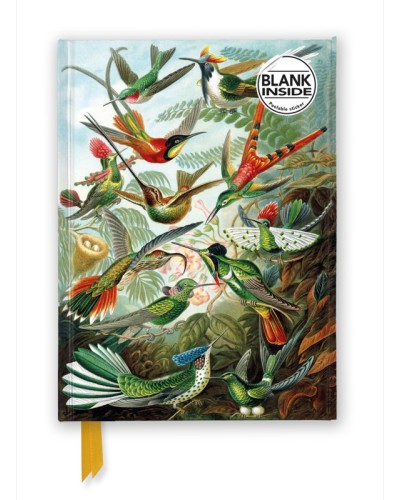 Hummingbirds