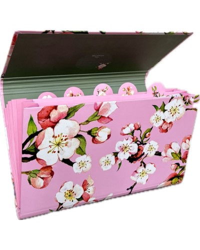 Kirschblüte
