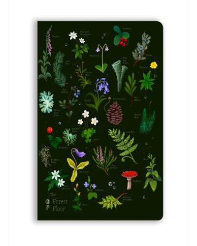 The Forest Floor