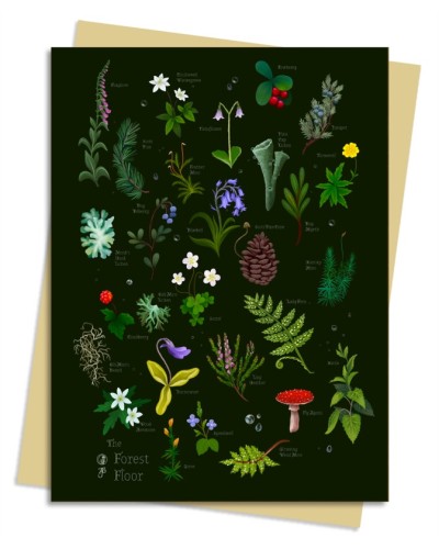 Forest floor